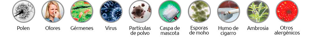 BACTERIAS BACTERIAS
