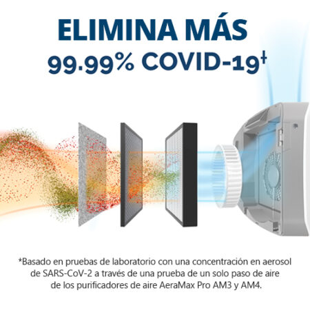 IMAGEN-AM3 IMAGEN-AM3